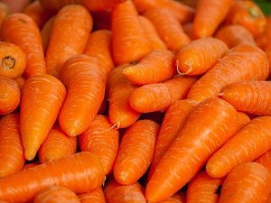 carrots, can dogs eat carrots, is carrot safe for dogs, benefits of carrots for dogs