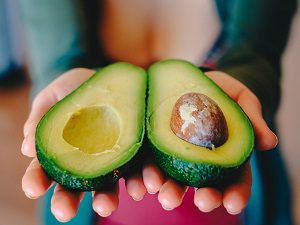 avocado, can dogs eat avocado, is avocado safe for dogs