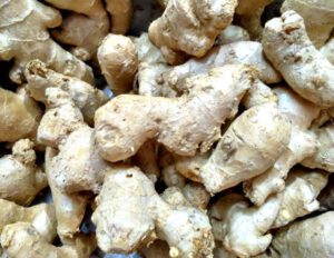 Ginger, ginger farming, advantages of ginger farming