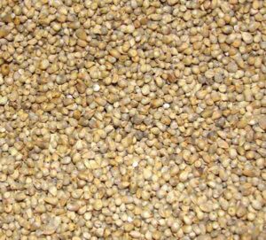 Millet Farming Business Plan And Guide