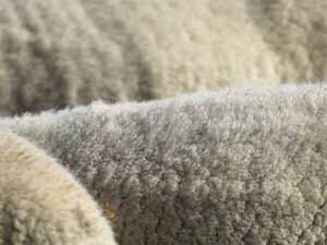 sheep skin, sheep skin uses